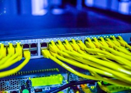 黄绿色的交换机数据线图片