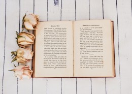 书图片书籍图片英语书图片