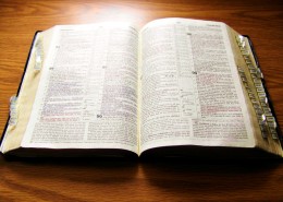 书籍图片 英语书图片