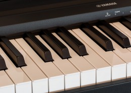 钢琴的黑白键盘图片大全