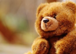 软软的玩具熊图片