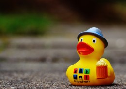 黄色塑料的玩具鸭图片