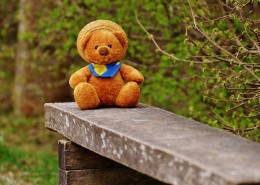 泰迪熊玩具图片