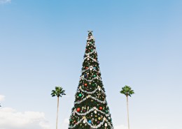 装饰精美的圣诞树图片