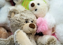 可爱的玩具熊图片