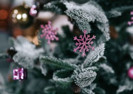 圣诞树的装饰品图片