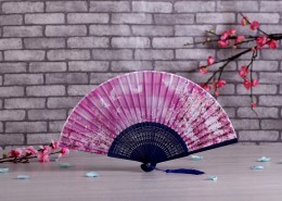 好看的古风扇子图片