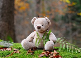 可爱的玩具小熊图片