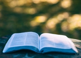 一本被翻开的英语书图片