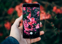 正在拍摄的手机图片