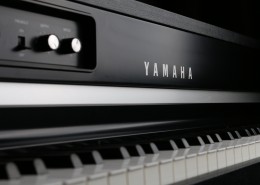 黑白的钢琴键图片