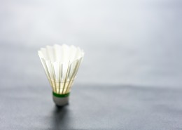 白色羽毛球图片