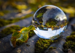 透明水晶球图片