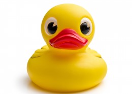 小黄鸭玩具图片