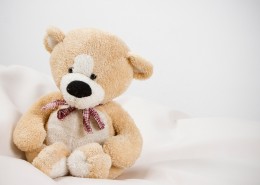 玩具熊图片大全