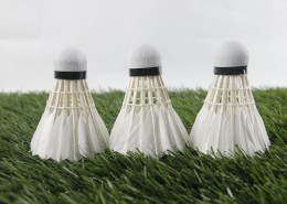 羽毛球高清图片