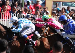 紧张刺激的赛马比赛图片