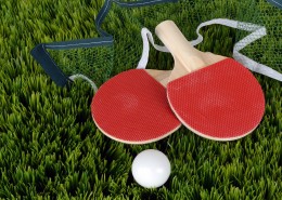 乒乓球和乒乓球拍图片