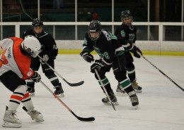 曲棍球运动图片大全