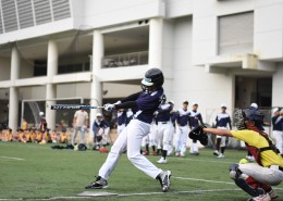 棒球运动图片大全