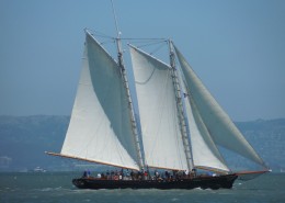 海上航行的白帆船图片