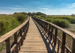 通向远处的木桥图片