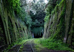 唯美的火车轨道铁轨图片