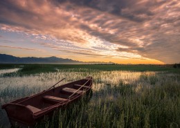 岸边搁置的小船图片