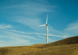 新能源 风力发电的风车图片