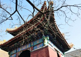 典雅的雍和宫图片大全