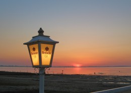 照明了的路灯图片大全