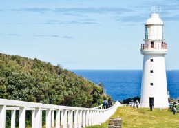 耸立的灯塔图片