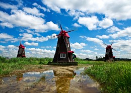 荷兰风车图片大全