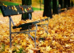 长椅、长凳、公园图片大全