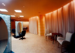 TRUTH-深田恭通作品图片