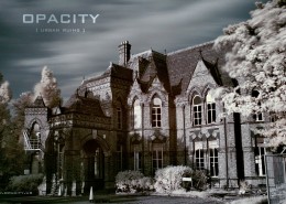 opcity城市废墟图片