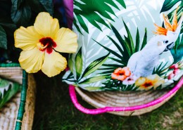 充满热带风格的图片大全