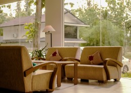 舒适的双人沙发图片