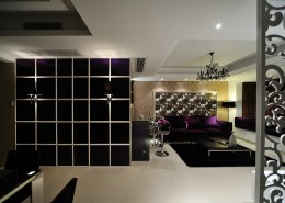 棕榈泉样板房图片大全