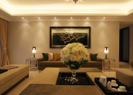 广州领峰样板2图片