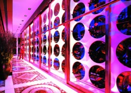 中国上海浦东香格里拉大酒店图片