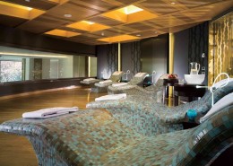 土尔其伊兹密尔艾菲索斯瑞士大酒店图片