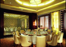 河南天地粤海大酒店-姜峰作品图片