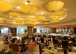 元素阁中餐厅装修设计图片