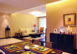 世纪绿洲样板房设计图片