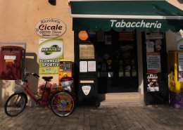 影楼婚纱照背景大图（二）