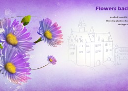 紫色系手绘花朵明信片图片