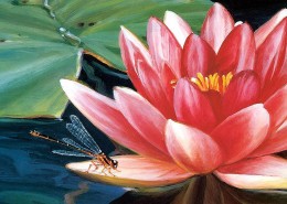 中国风荷花金鱼三联挂画图片