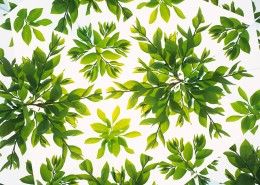 万花筒花卉底纹图片