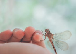 小清新摄影图片